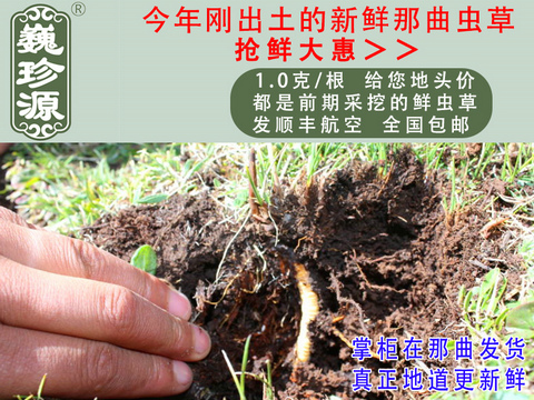 ���r���x�Ĳ�,�^�����r�x��,Ρ��Դ1��/�����r�������x�Ĳ��^��