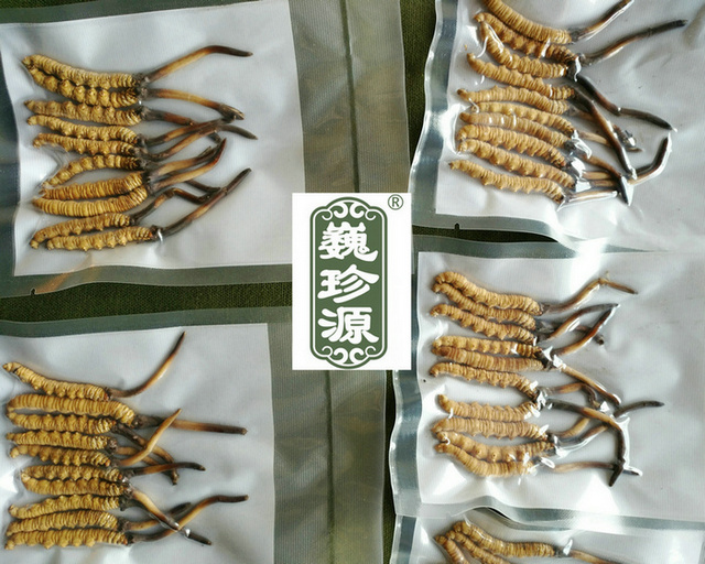 �r�x��,���r���x�Ĳ�,���r�x�ݺ͸��x���Ă��I�B�rֵ��,���x�Ĳ����r�ĺ͸ɵ��Ă��I�B�rֵ��,���r�x�ݺ͸��x�ݠI�B�rֵ�Ă�����