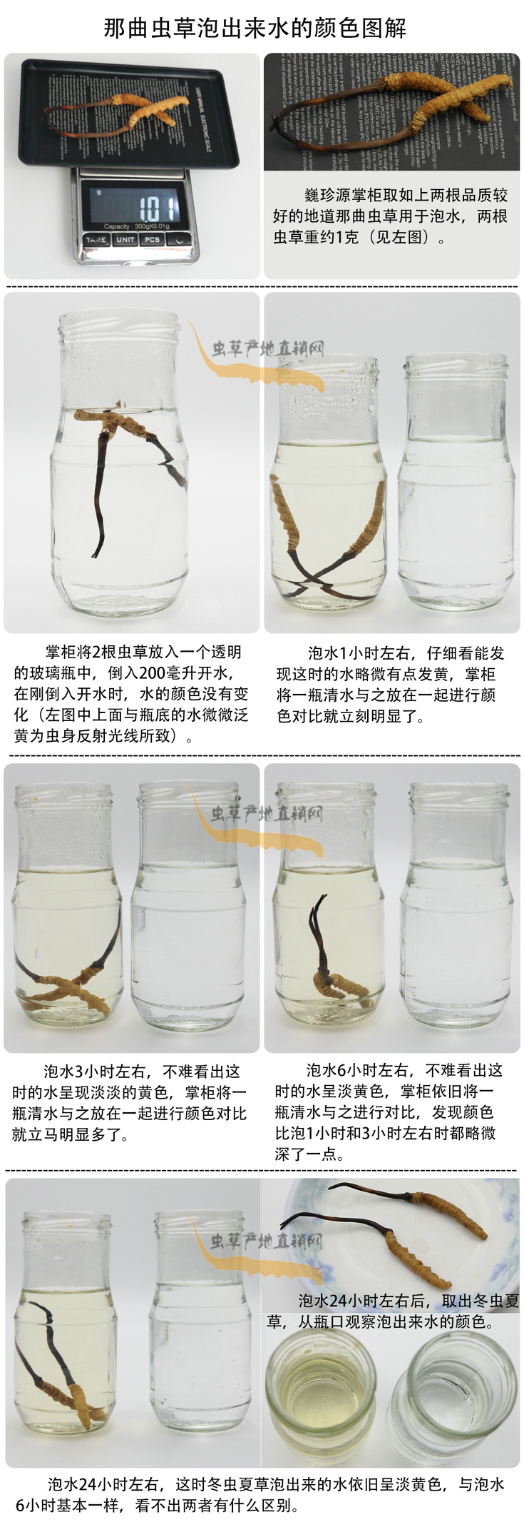 ���x�Ĳ��ݳ���ˮ���ɫ�����x�Ĳ��ݳ�����ˮ��ʲô�ɫ�����x�Ĳ���ˮ���ɫ��׃���ᣬ�����x�����^ˮ��ˮ׃��ʲô�ɫ