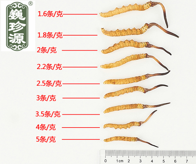 ���x�Ĳ�,���x�Ĳݵ�Ҏ��