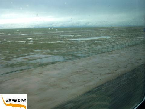 ��ظ�ԭ,�ɿ�����