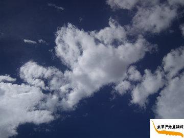 ���x�ĲݵĮa��-���������՚�ܝ���,��Ȼ�h���o��Ⱦ,����|�������x�ݮa��