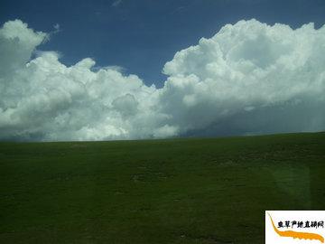 �����������x�Ĳݮa�^,���x�Ĳݮa��