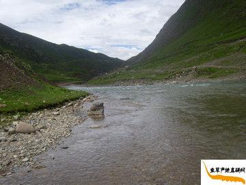 ���x�Ĳݮa��,������������h���d�l�ǃ��|�x�ݵĮa��